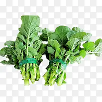 油菜苔绿色蔬菜-空若网 油菜苔绿色蔬菜-空若网