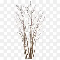 高清干树枝海报树-空若网 高清干树枝海报树-空若网