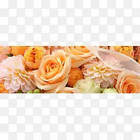 玫瑰花背景-空若网 玫瑰花背景-空若网