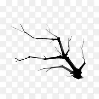 Ê÷Ö¦-¿ÕÈôÍø Ê÷Ö¦-¿ÕÈôÍø