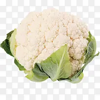 �˻�-������