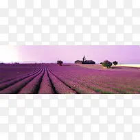 薰衣草背景 婚礼-空若网 薰衣草背景 婚礼-空若网