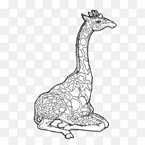 长颈鹿动物野生动物长颈鹿-空若网 长颈鹿动物野生动物长颈鹿-空若网