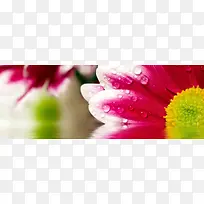 ��Լ����-������