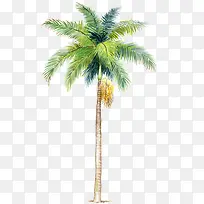 �ֻ���ľ��ͨ����-������