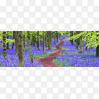 ר�ⱳ��-������