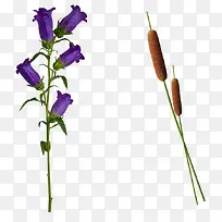 蓝花水彩蓝花-空若网 蓝花水彩蓝花-空若网