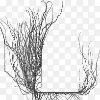 枯树枝装饰-空若网 枯树枝装饰-空若网