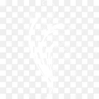 白色古风花纹-空若网 白色古风花纹-空若网