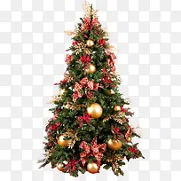 ����ʥ����ʥ����-������