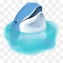 水彩手绘海豚-空若网 水彩手绘海豚-空若网