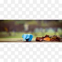 ��ֽ����-������