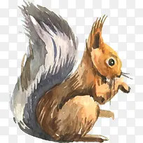 ˮ��дʵ����-������