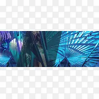 �ſ�ʱ��-������