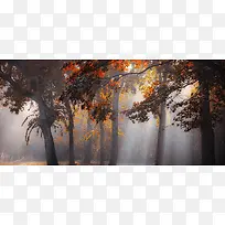 ���챳��-������