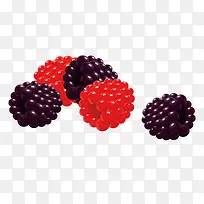 桑葚png矢量素材-空若网 桑葚png矢量素材-空若网