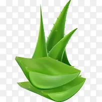 芦荟-空若网 芦荟-空若网