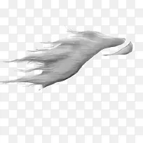 白色马尾-空若网 白色马尾-空若网