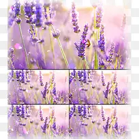 Ψ��޹�²�-������