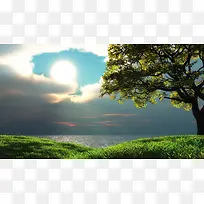 ��Ӱ��Ʒ̫��ֲ��-������