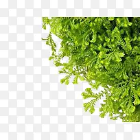 Þ§Àà-¿ÕÈôÍø Þ§Àà-¿ÕÈôÍø