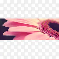 主题背景-空若网 主题背景-空若网