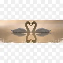 Ö÷Ìâ±³¾°-¿ÕÈôÍø Ö÷Ìâ±³¾°-¿ÕÈôÍø