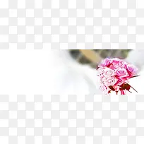 ���ⱳ��-������