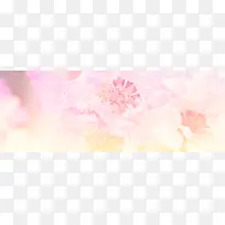 主题背景-空若网 主题背景-空若网