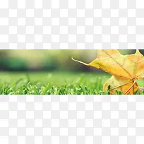 主题背景-空若网 主题背景-空若网