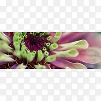 主题背景-空若网 主题背景-空若网