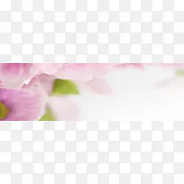 ���ⱳ��-������