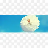 主题背景-空若网 主题背景-空若网