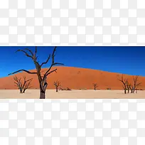 主题背景-空若网 主题背景-空若网