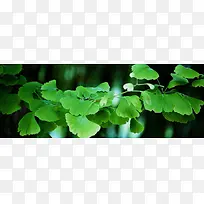 主题背景-空若网 主题背景-空若网