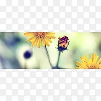 ���ⱳ��-������