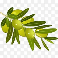 精美蔬菜橄榄-空若网 精美蔬菜橄榄-空若网