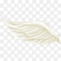 一支羽翼渐丰的翅膀-空若网 一支羽翼渐丰的翅膀-空若网