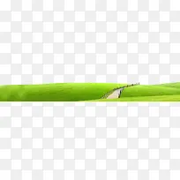 ��-������