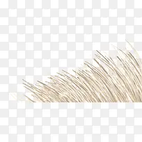 ʸ����ͨ�Ʋ�-������