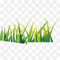 草-空若网 草-空若网