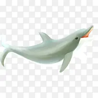 �����ֻ��ز�-������