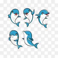 海豚 动物 可爱-空若网 海豚 动物 可爱-空若网