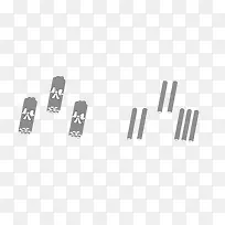 ľ������ѧ������-������