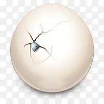 鸡蛋设计图标-空若网 鸡蛋设计图标-空若网