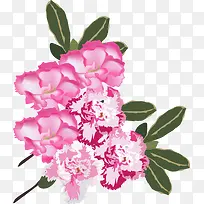 ����ܰˮ��ʸ��ͼ-������