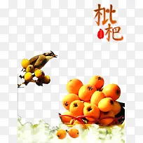枇杷水果与鸟-空若网 枇杷水果与鸟-空若网
