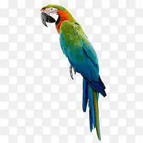 ����-������