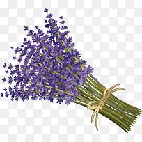 ޹�²�װ�����ʸ��-������