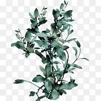 草枝装饰-空若网 草枝装饰-空若网